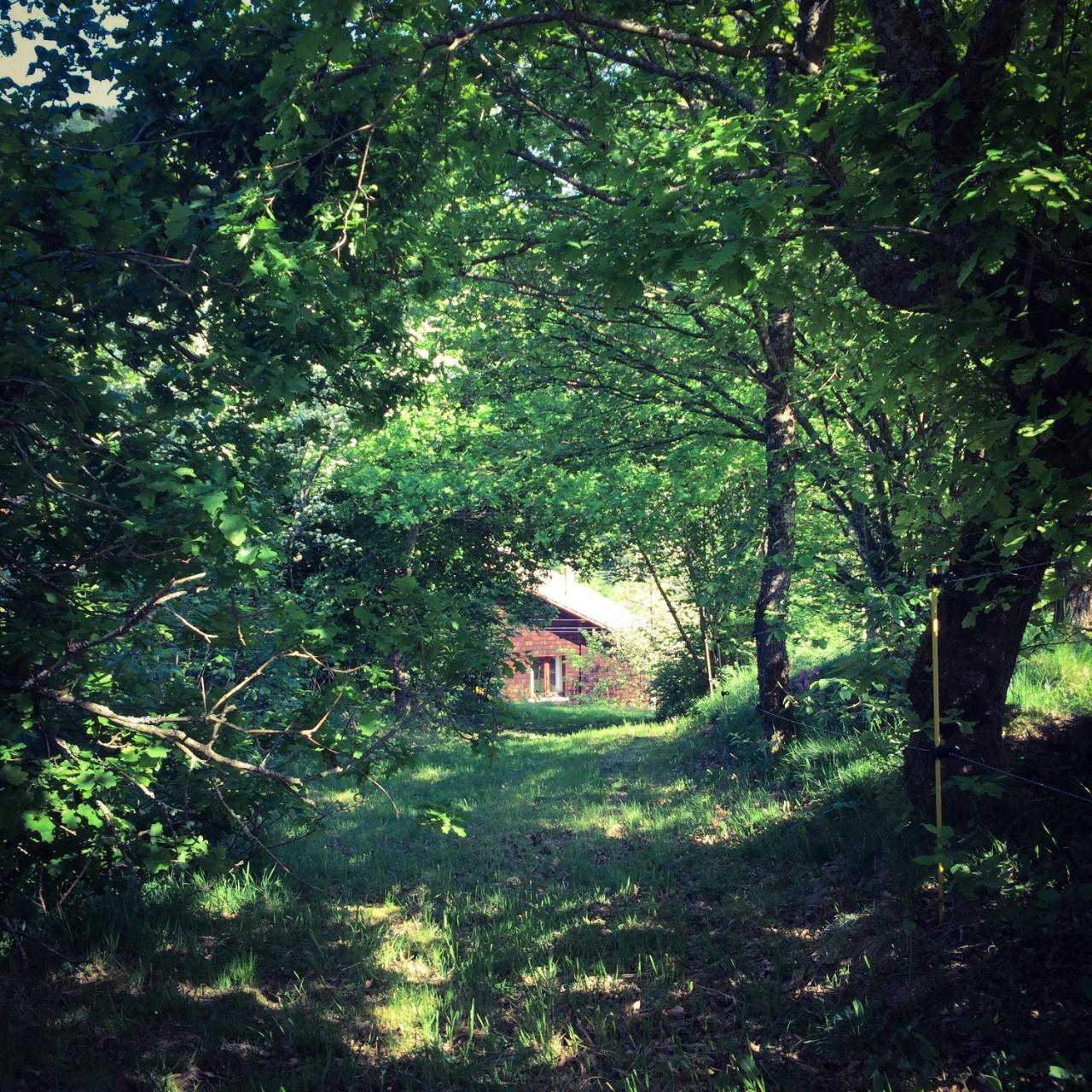 Silver Trees - Glamping Fresse-sur-Moselle Екстериор снимка