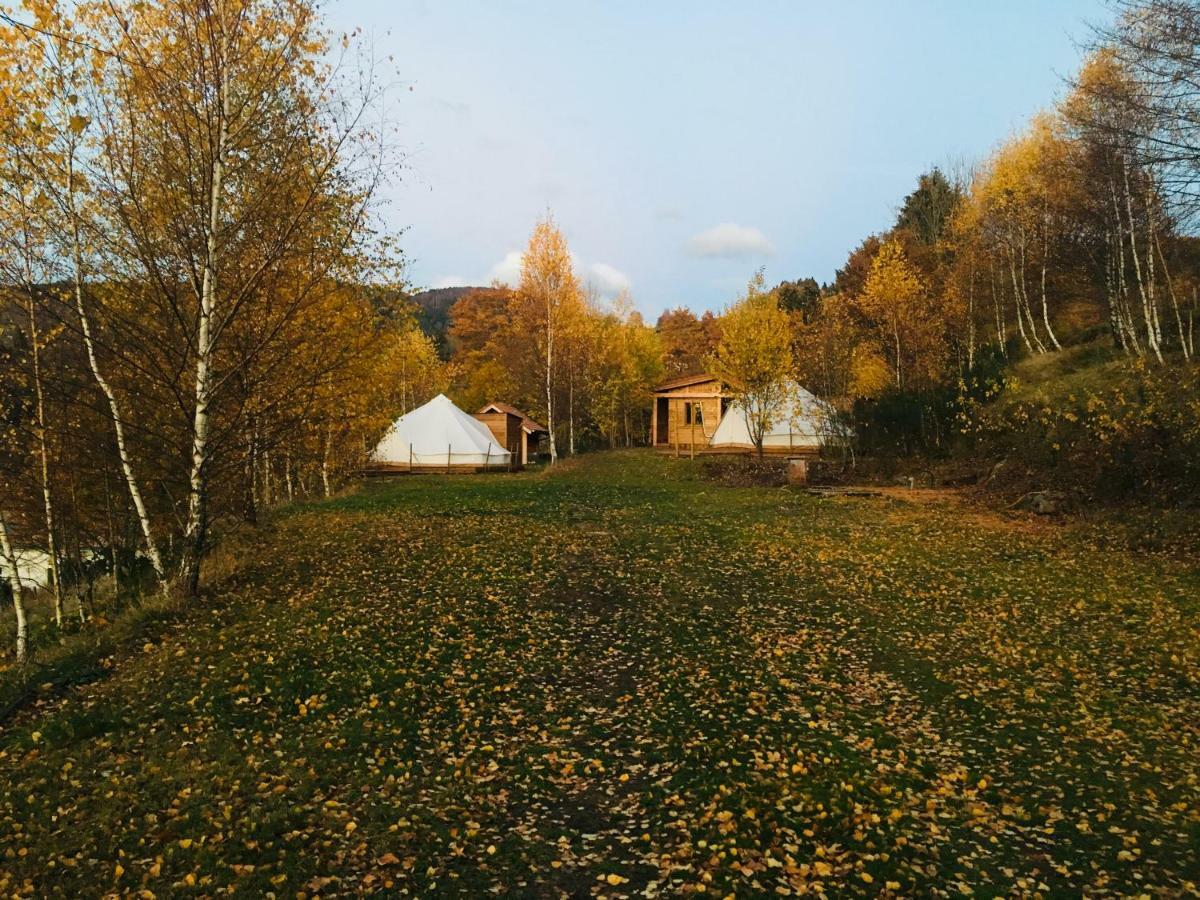 Silver Trees - Glamping Fresse-sur-Moselle Екстериор снимка